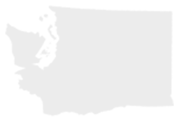 washington-600x400 washington